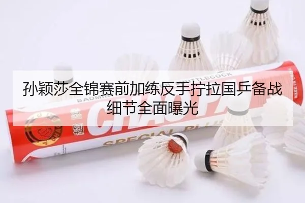 孙颖莎全锦赛前加练反手拧拉国乒备战细节全面曝光